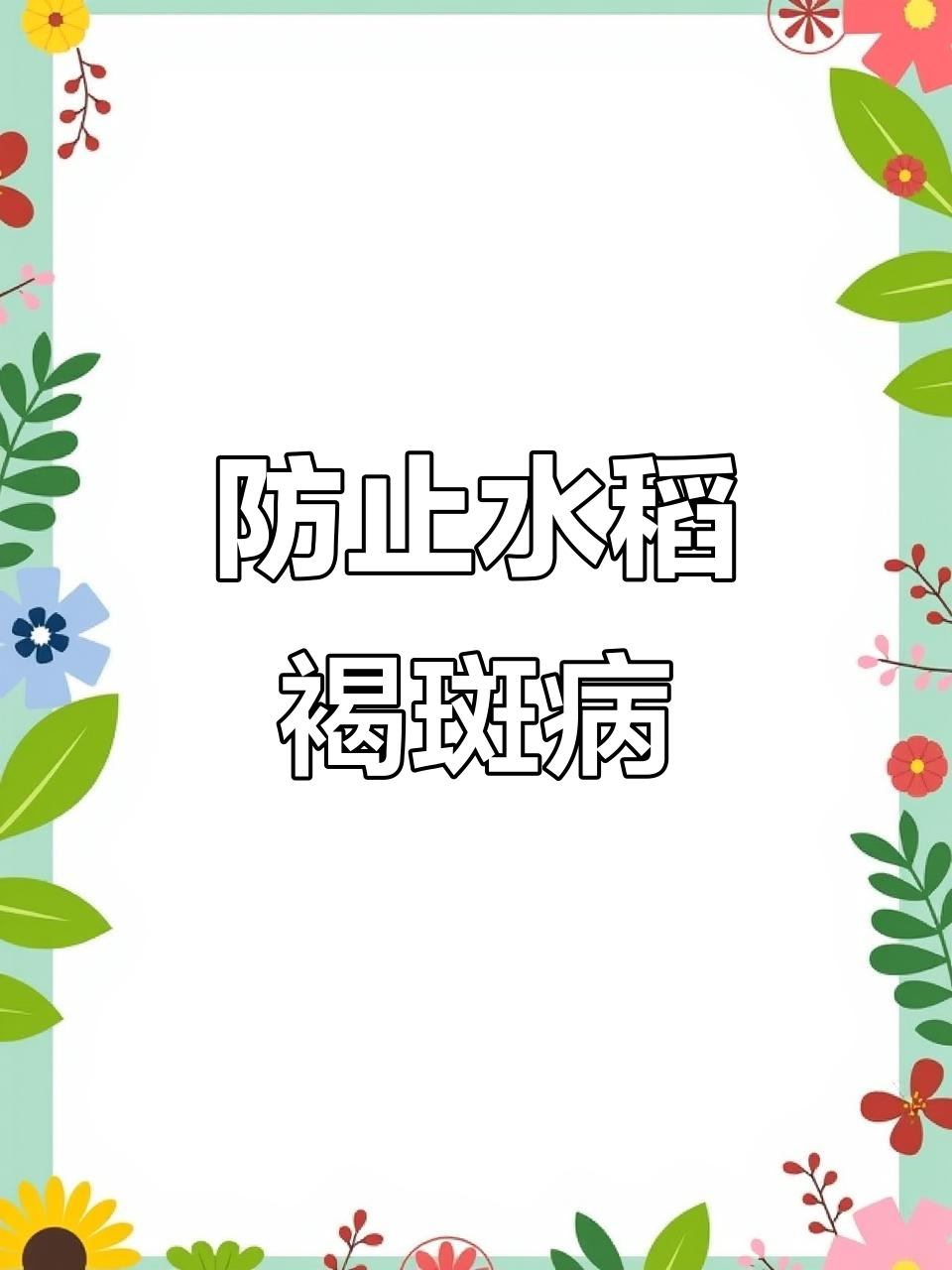 水稻苗床细菌性褐斑病防治技巧,避免病害扩散
