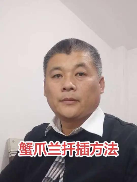 手把手教你蟹爪兰扦插方法