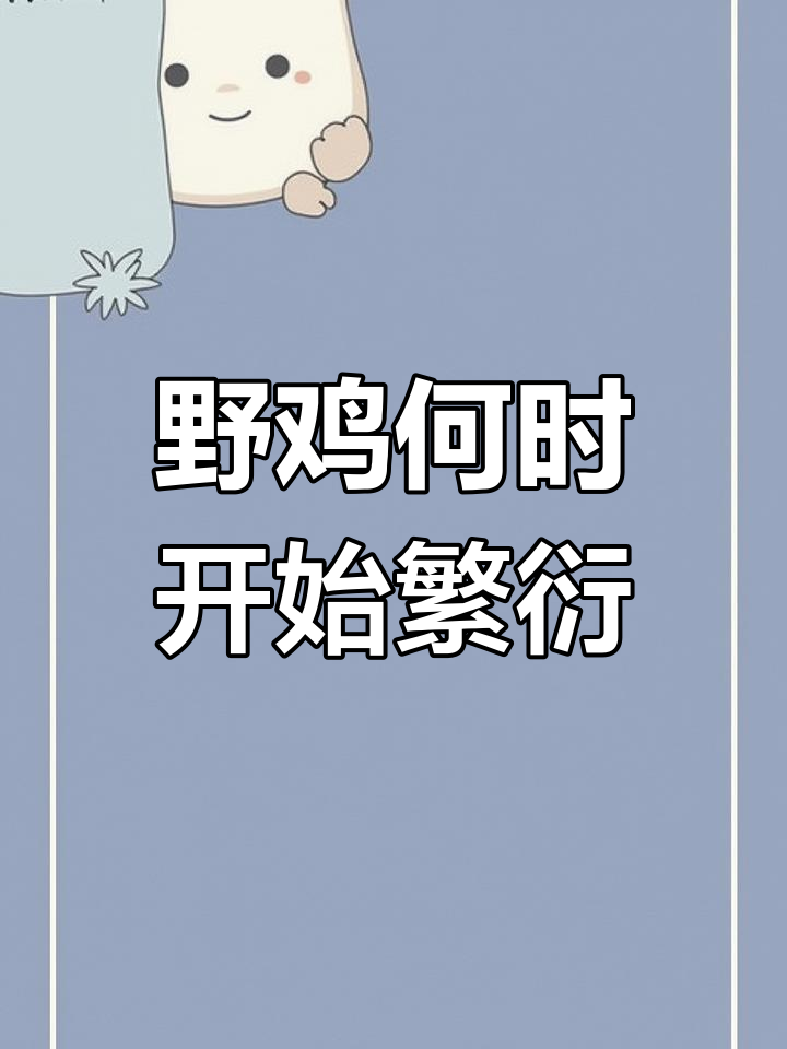 5月野鸡繁殖期揭秘:公母配对与栖息地选择