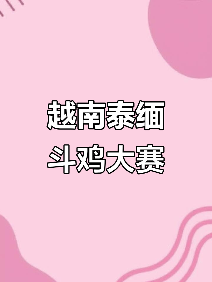 越南泰国缅甸斗鸡大比拼,极品土炮来袭