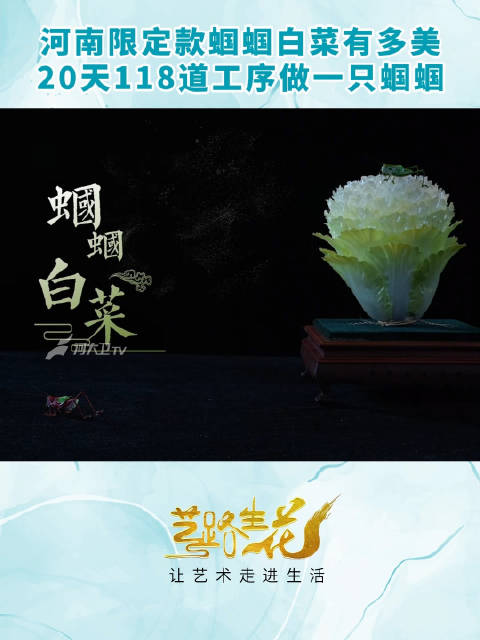 河南限定款蝈蝈白菜有多美 秦氏绢艺第十三代传人秦彦良带来的这件绢艺作品将匠心诠释得无比生动