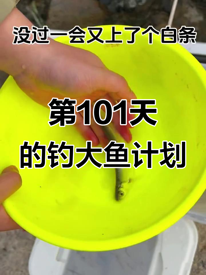 钓鱼挑战101天,鱼哥找老婆失败!