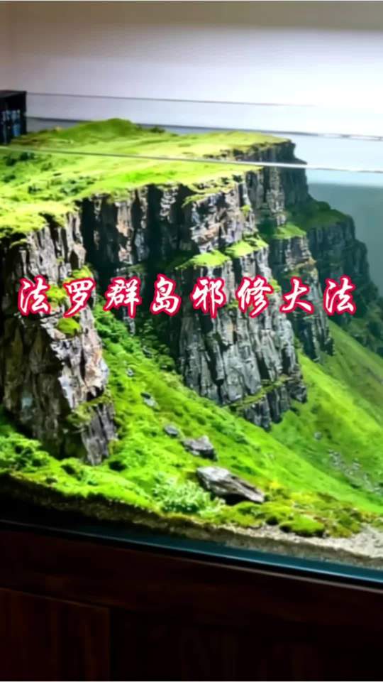 优化版法罗裙挡鱼缸造景，水泥反碱拜拜，丙烯上色绝了！