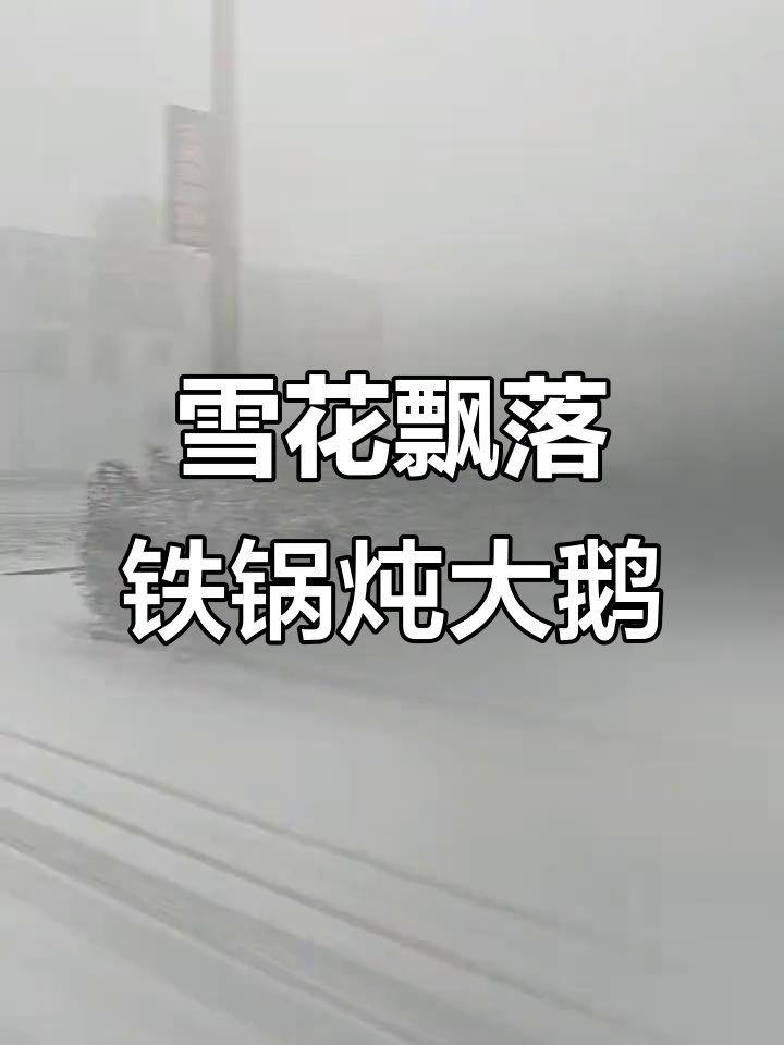 下雪天最适合铁锅炖大鹅,热腾腾的香气扑鼻而来!