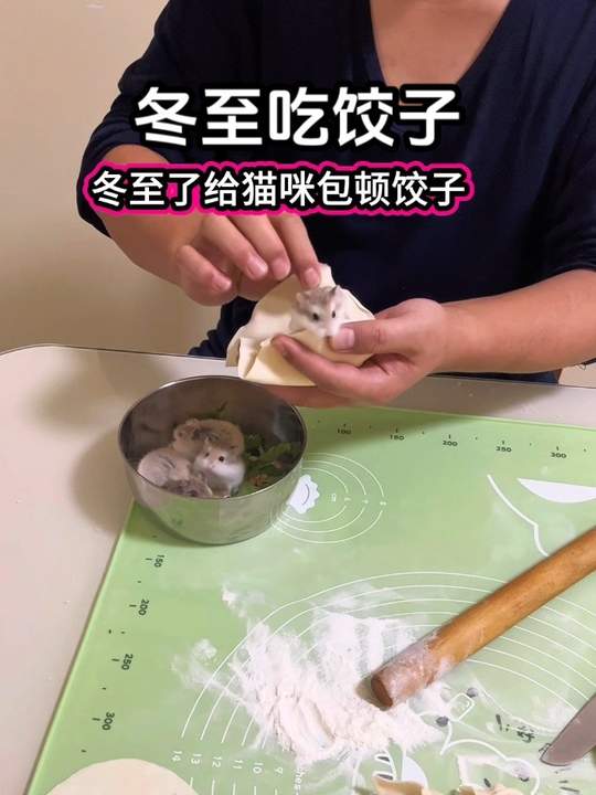 冬至包饺子
