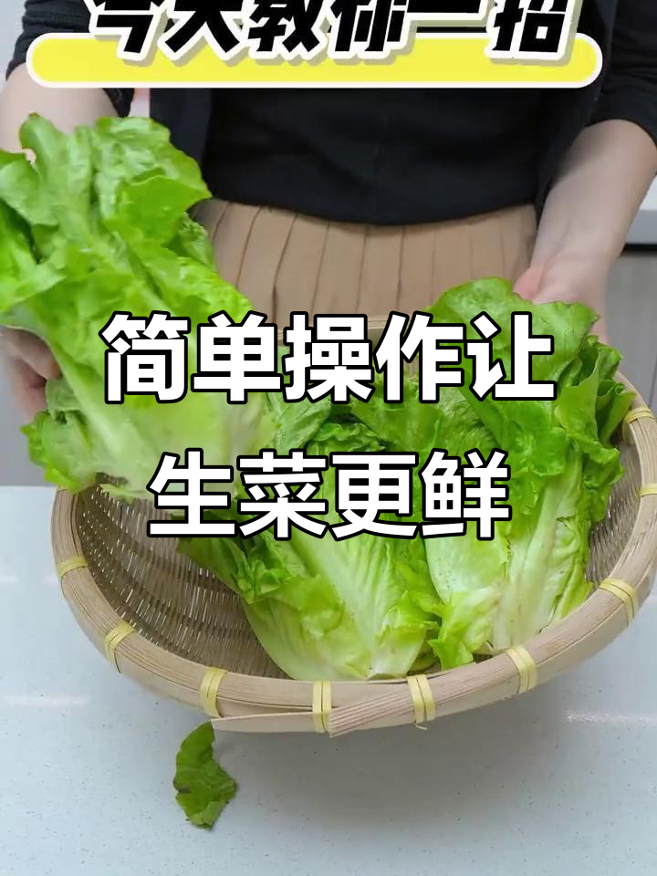 生菜保鲜新技巧,轻松保存一两周新鲜如初