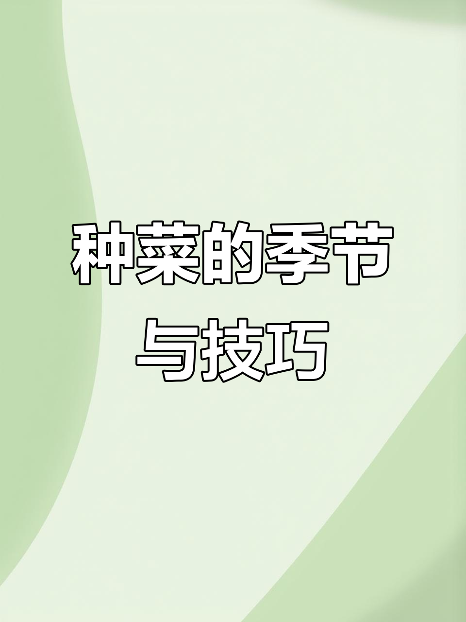 一年四季种菜全攻略,掌握这些技巧让你事半功倍