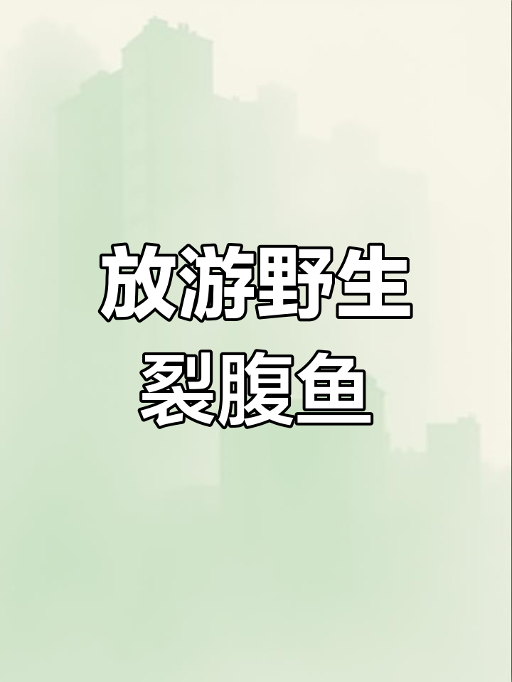 钓到野生裂腹鱼,放生才是最正确的选择!