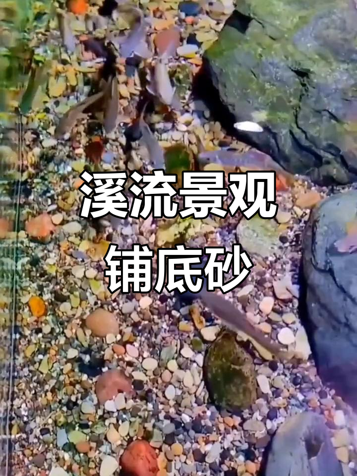 天然鹅卵石,溪流造景必备,水族箱装饰更添自然韵味