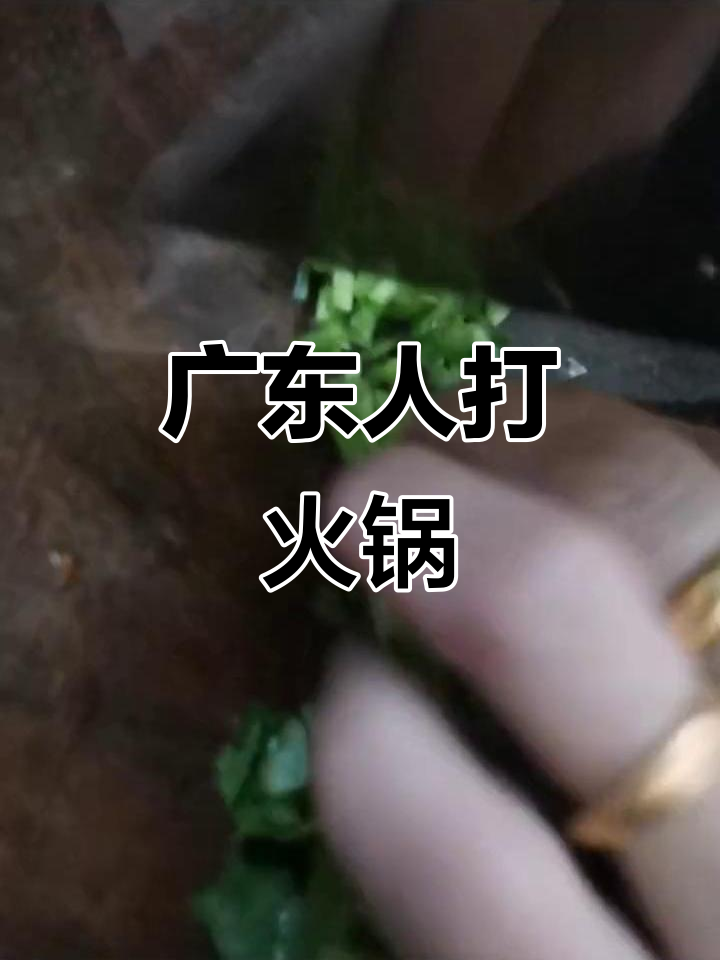 广东火锅的独特魅力,吃出幸福感