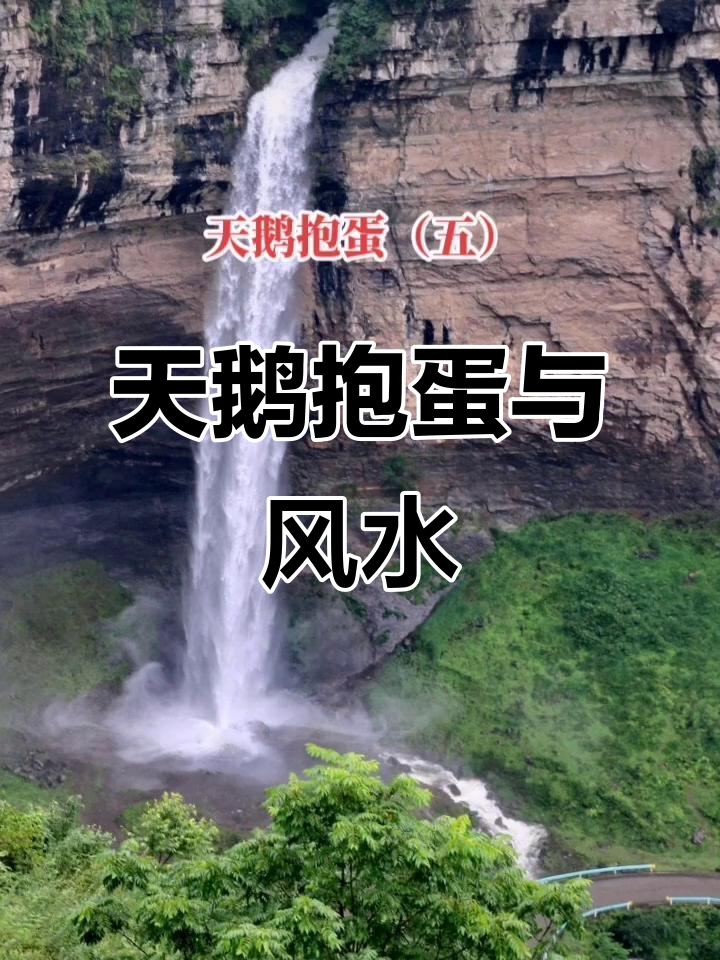 天鹅抱蛋引发的千年之谜，风水师如何改变命运