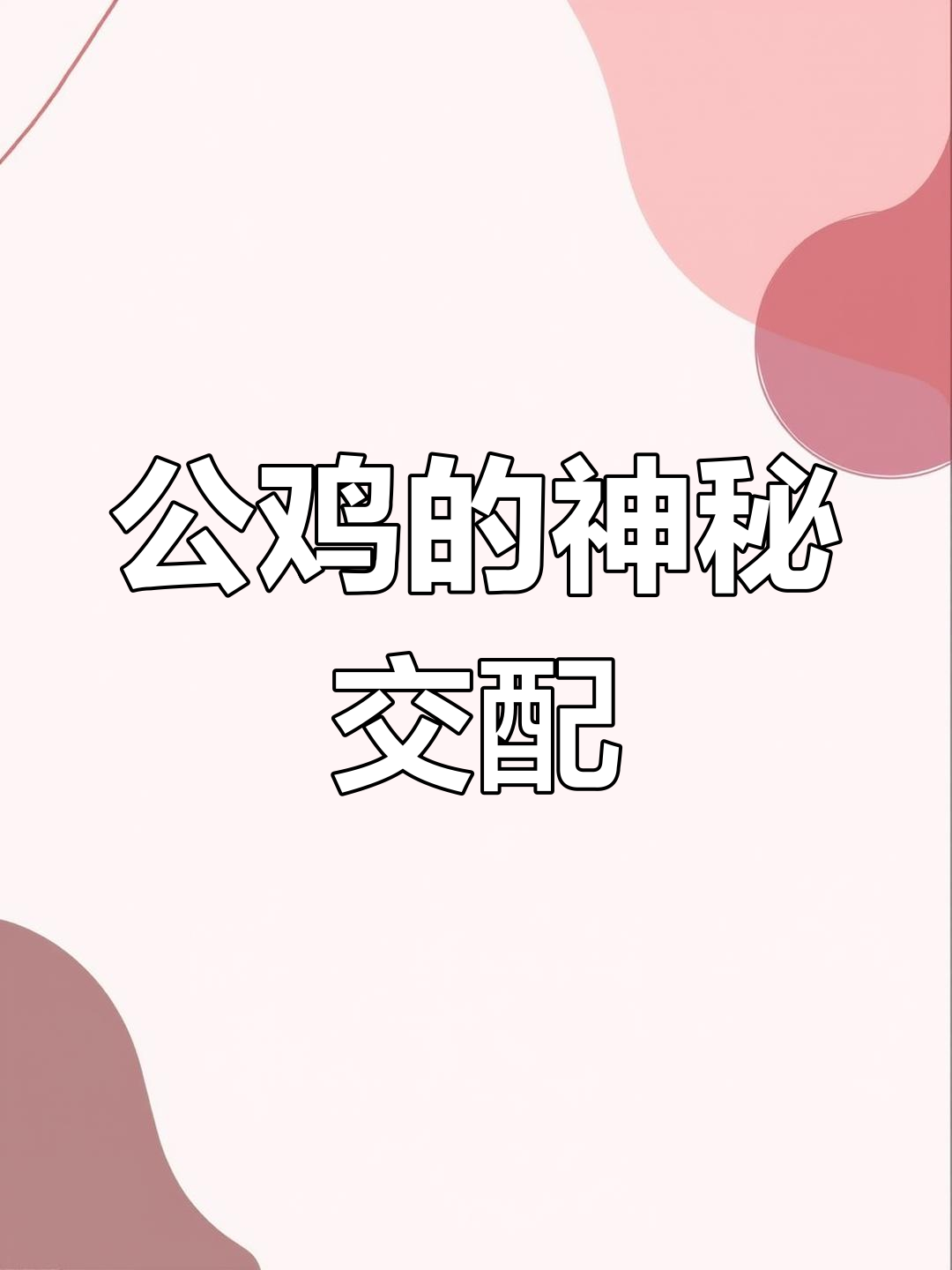 公鸡如何与母鸡交配?原来是这样!
