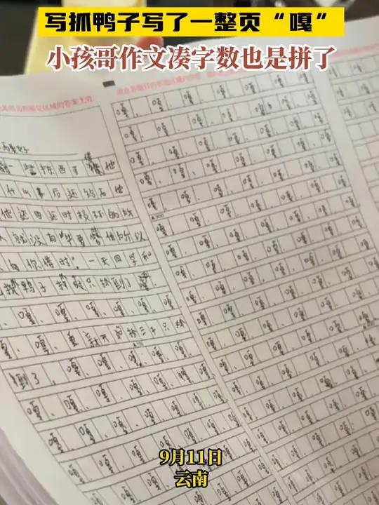 写抓鸭子写了一整页“嘎” 小孩哥作文凑字数也是拼了 做作业的那些事 熊孩子作业