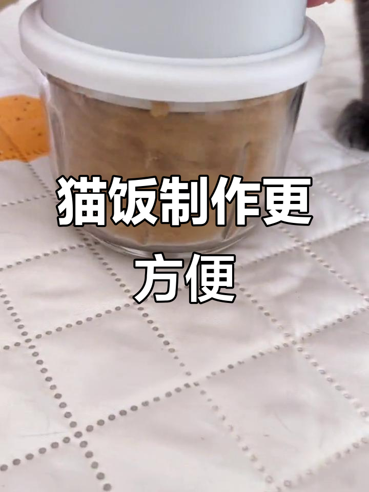 自制猫饭神器,轻松搞定猫咪饮食