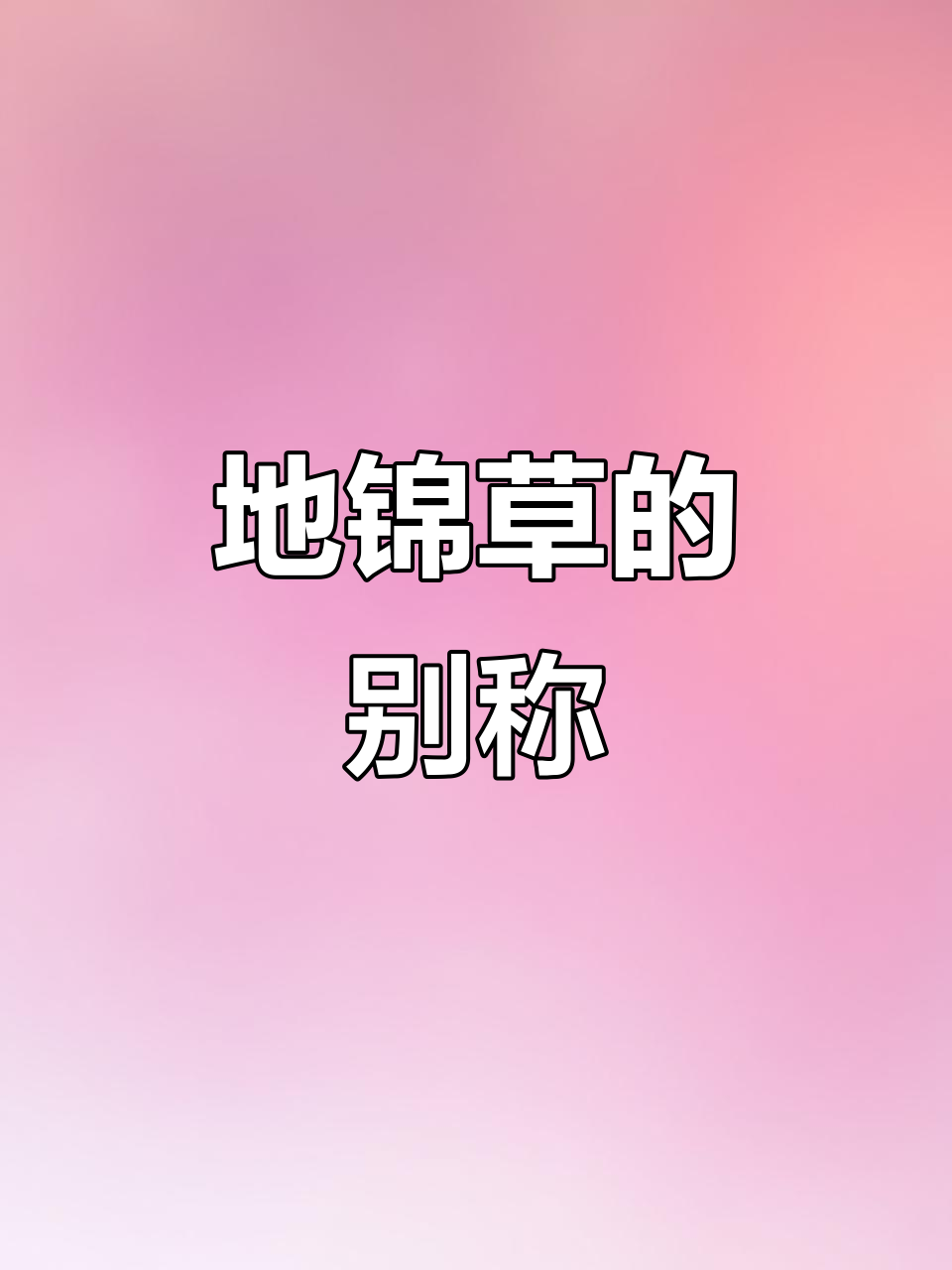 地锦草,一年生草本植物,别名众多