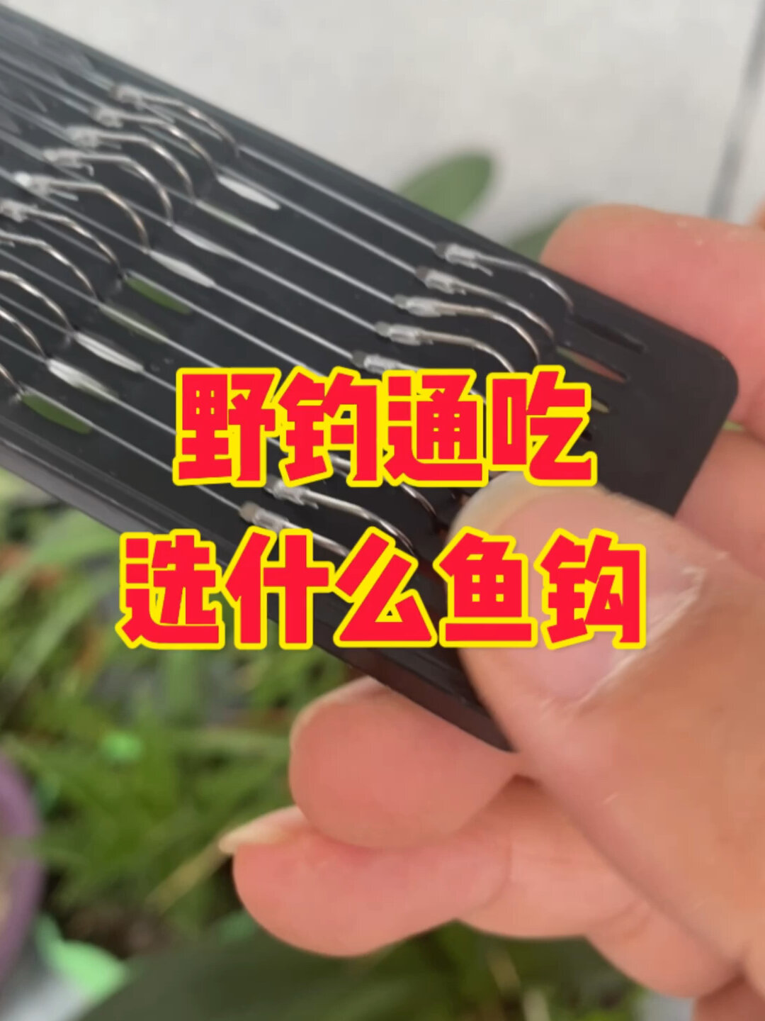 就因为这一点,野钓一定要用伊豆鱼钩
