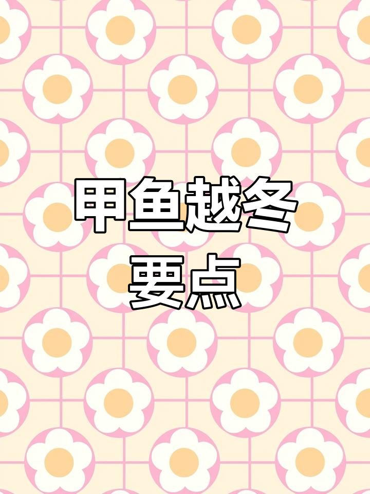 甲鱼冬季养殖注意事项
