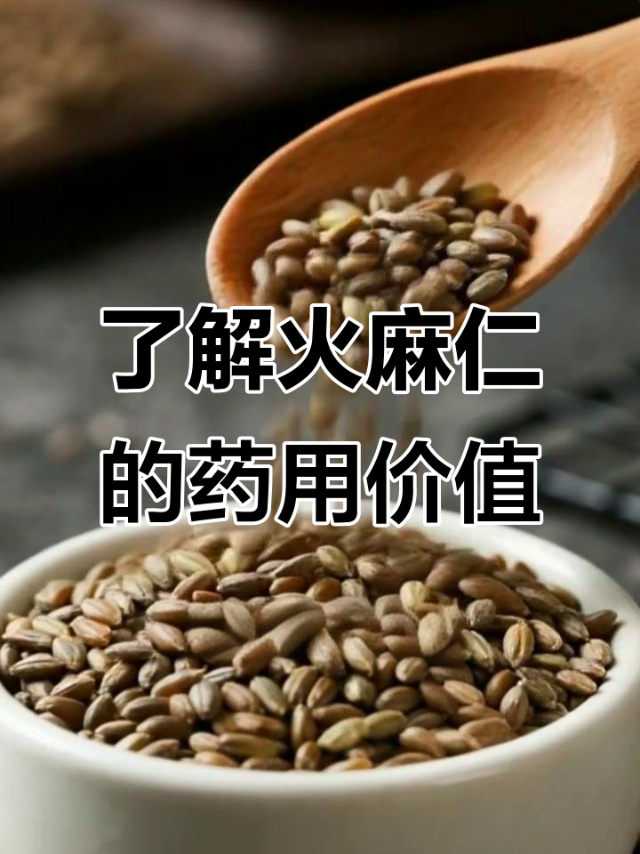 火麻仁:千年润肠良药,滋补养生全解析