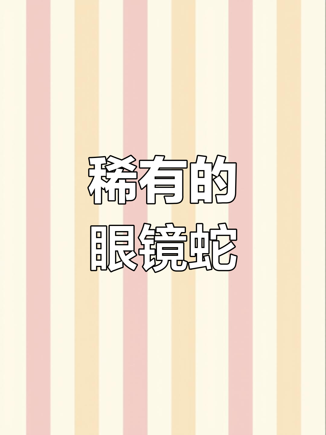 忍者神龟中的眼镜蛇,稀有反派登场!