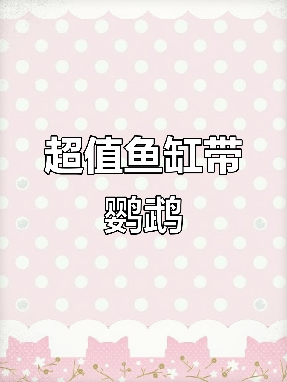 七秒鱼缸+鹦鹉,超值福利等你拿