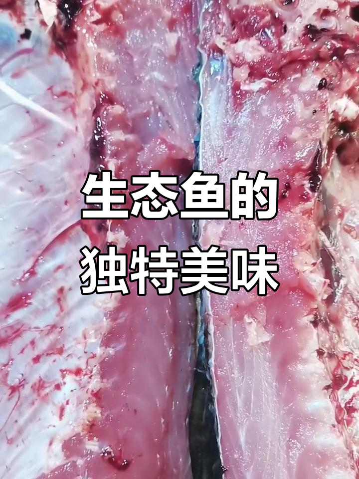 博斯腾湖生态鱼,味道鲜美,值得一试!