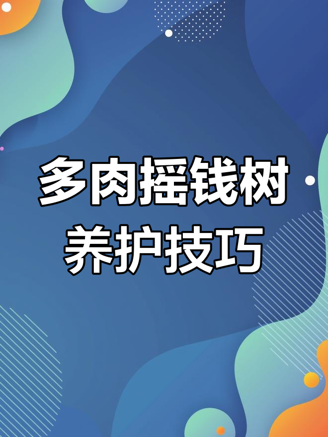 仙人掌科摇钱树,轻松养护多肉植物