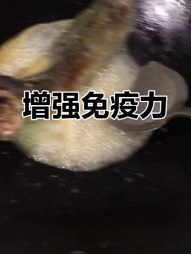 黑豆塘鲺汤:滋补养生,改善贫血与咳嗽
