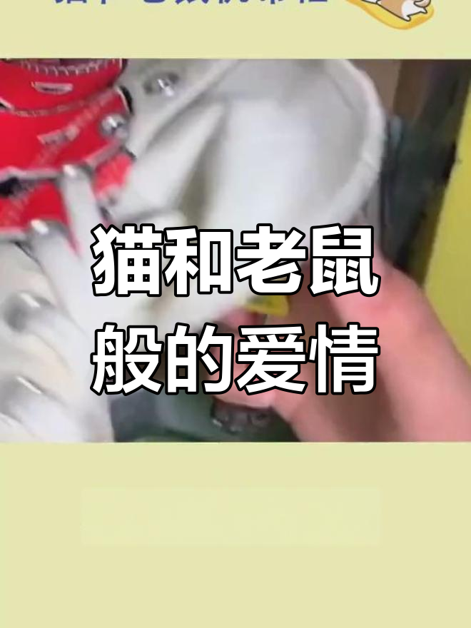 汤姆和杰瑞的爱情:吵闹却离不开彼此