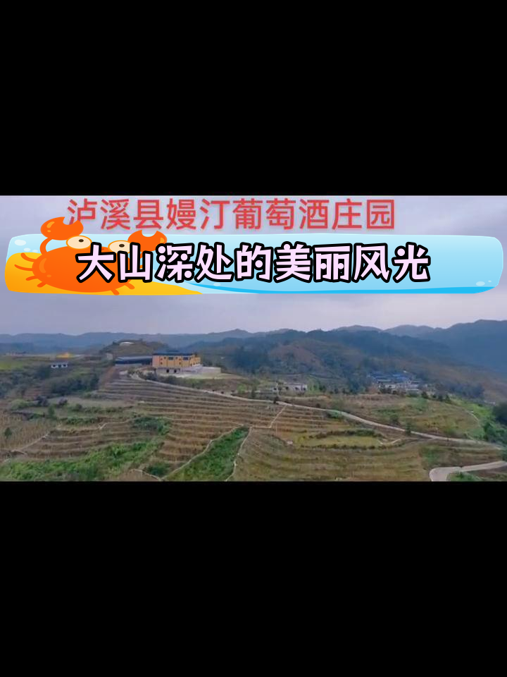 泸溪县嫚汀葡萄酒庄园:乡村振兴与自然美景