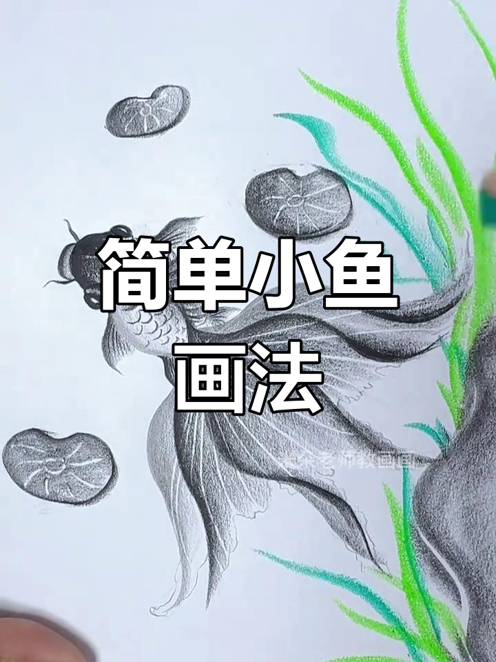 小鱼简笔画教程,轻松画出可爱小动物