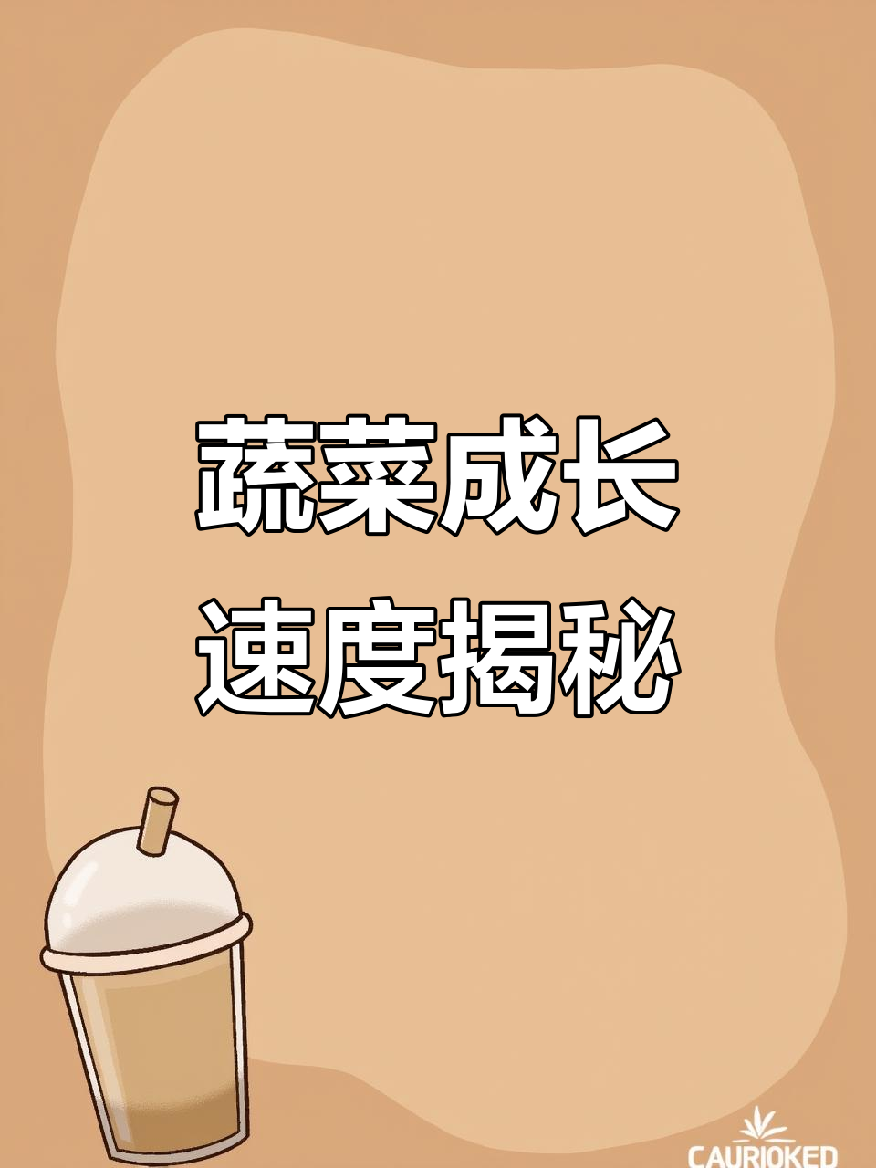 蔬菜成熟周期一览,了解常见作物生长时间