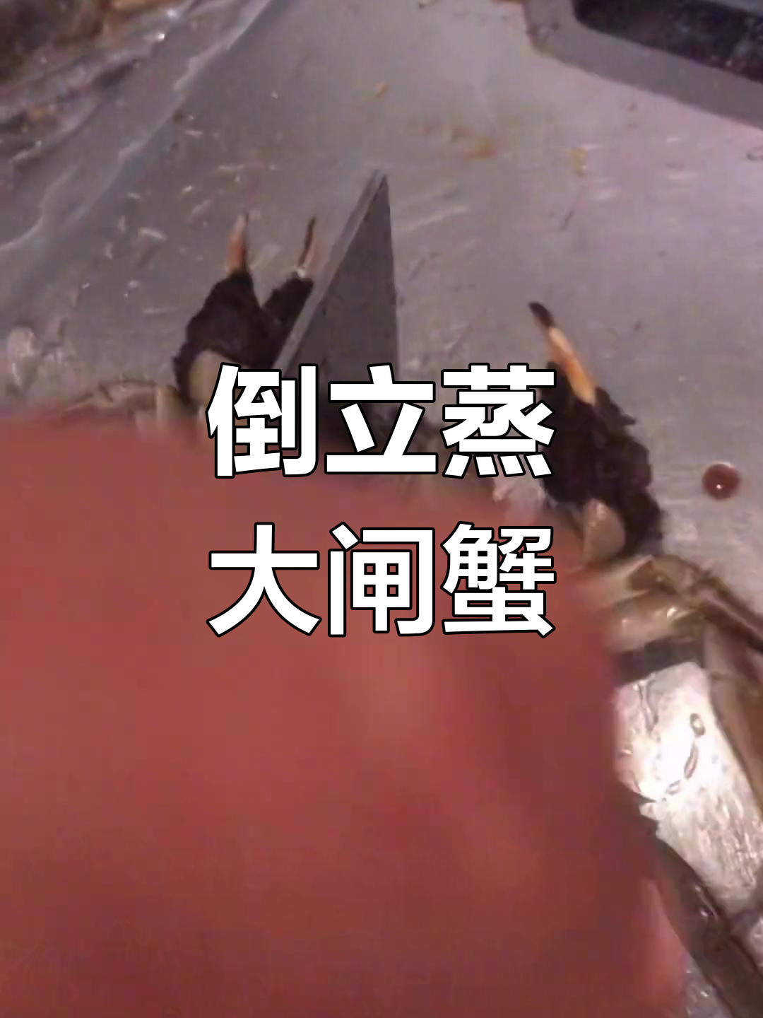 重阳节必备!豆瓣酱大闸蟹做法