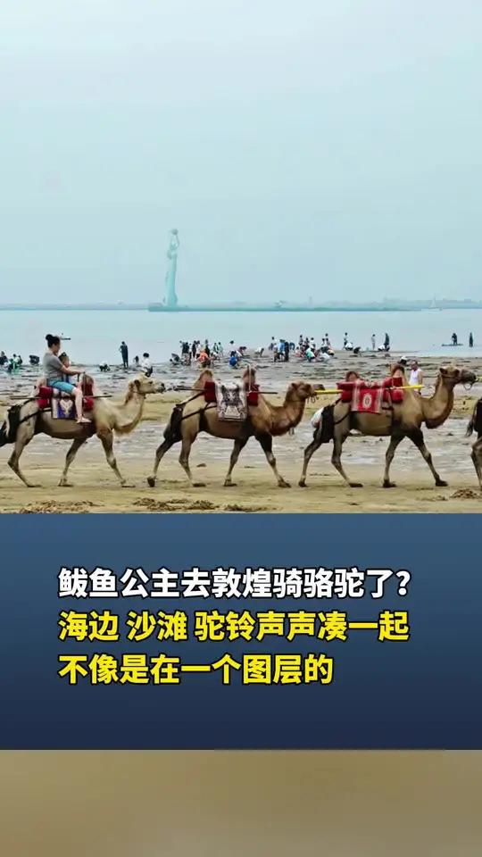 鲅鱼公主去敦煌骑骆驼了?海边 沙滩 驼铃声声凑一起,不像是在一个图层的,视频来源