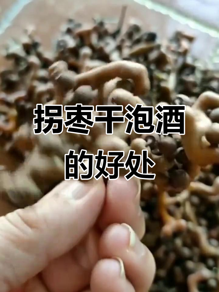 拐枣干泡酒,功效多多,了解它的神奇作用