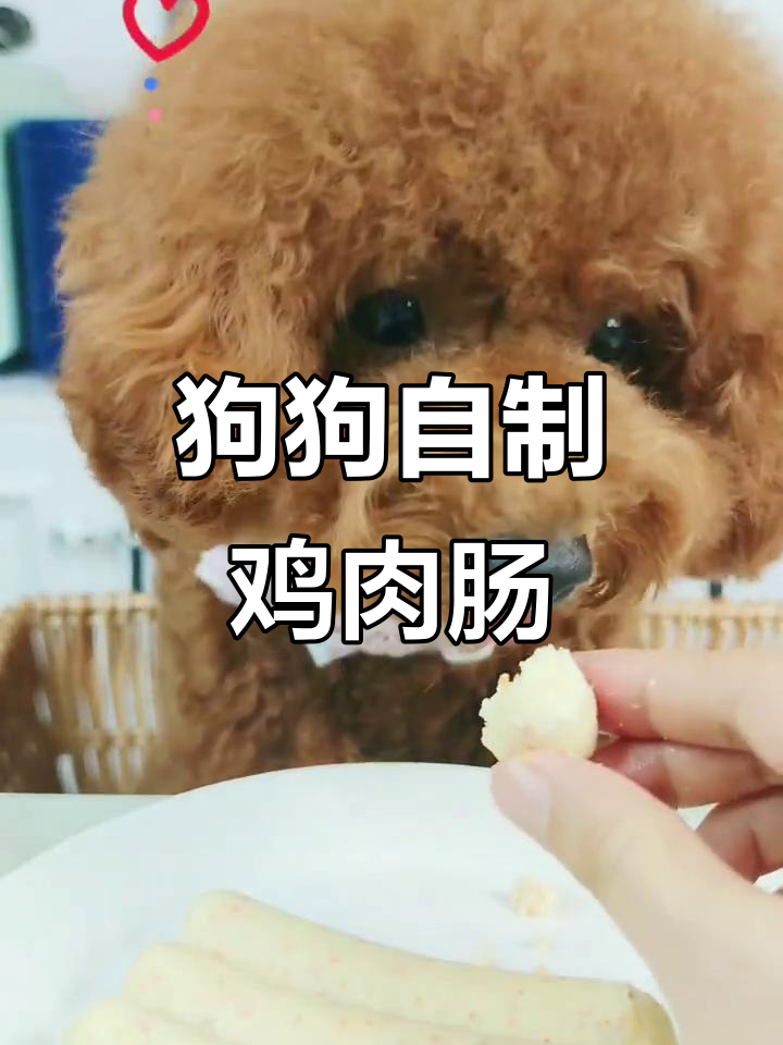 自制鸡肉肠,狗狗最爱!