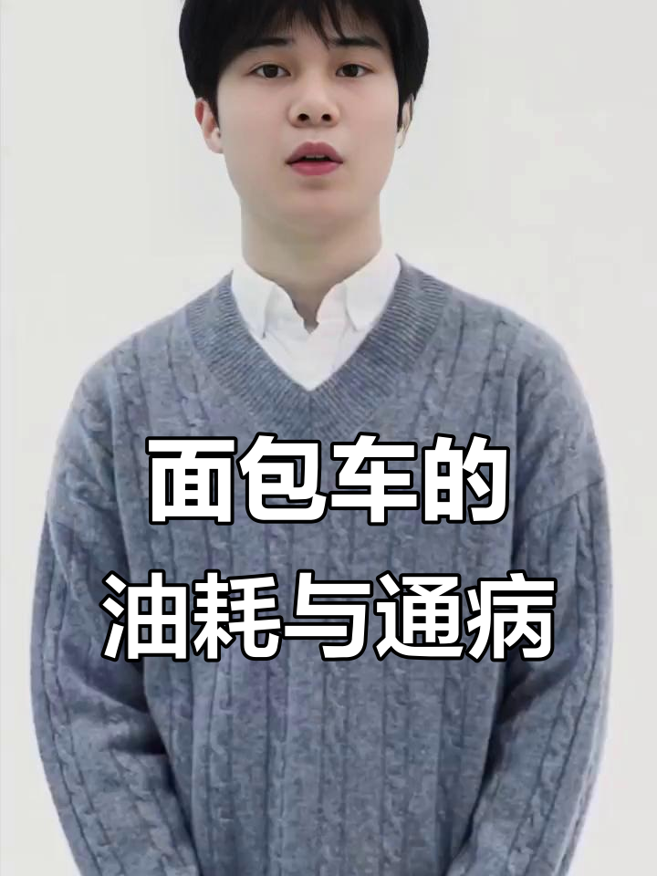 面包车油耗与常见问题大揭秘,五菱荣光和金美海狮对比分析