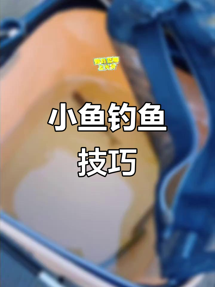 钓小鱼选1号袖钩,轻松应对鲫鱼与小嘴鱼类