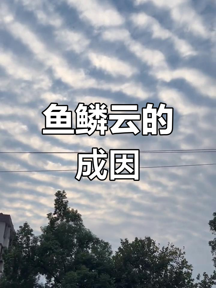 鱼鳞云背后的秘密:如何判断晴朗天气