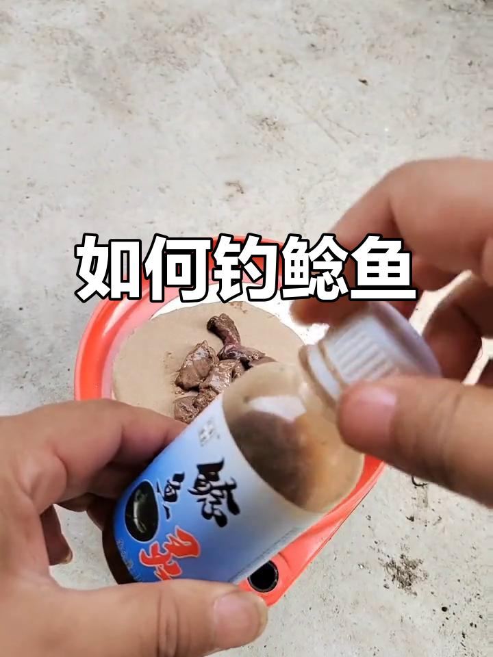 钓鲶鱼技巧大揭秘:如何用鸡肝猪肝做窝,吸引更多鱼儿
