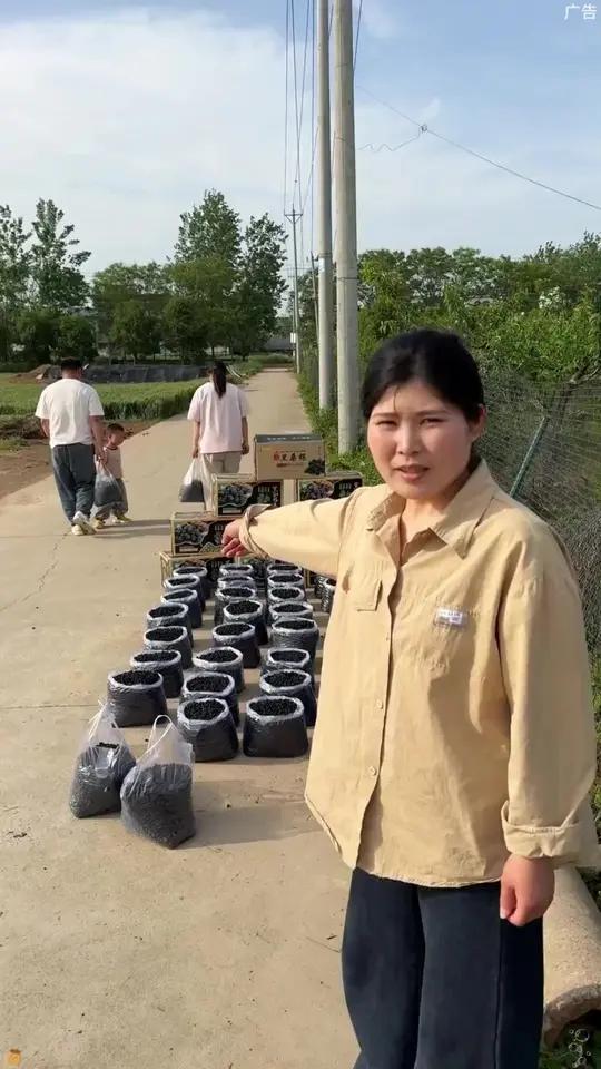 ~黑桑葚 新疆黑桑葚干值得你拥有,新疆特产 桑葚干 桑叶 新疆 桑葚干 新疆是个好地方