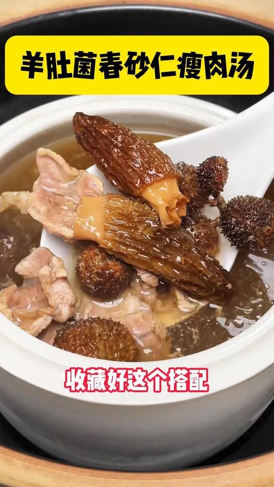 想要脾胃好,试试这个羊肚菌春砂仁汤,营养又好喝滋补养生为你煲汤煲靓汤 广东靓汤