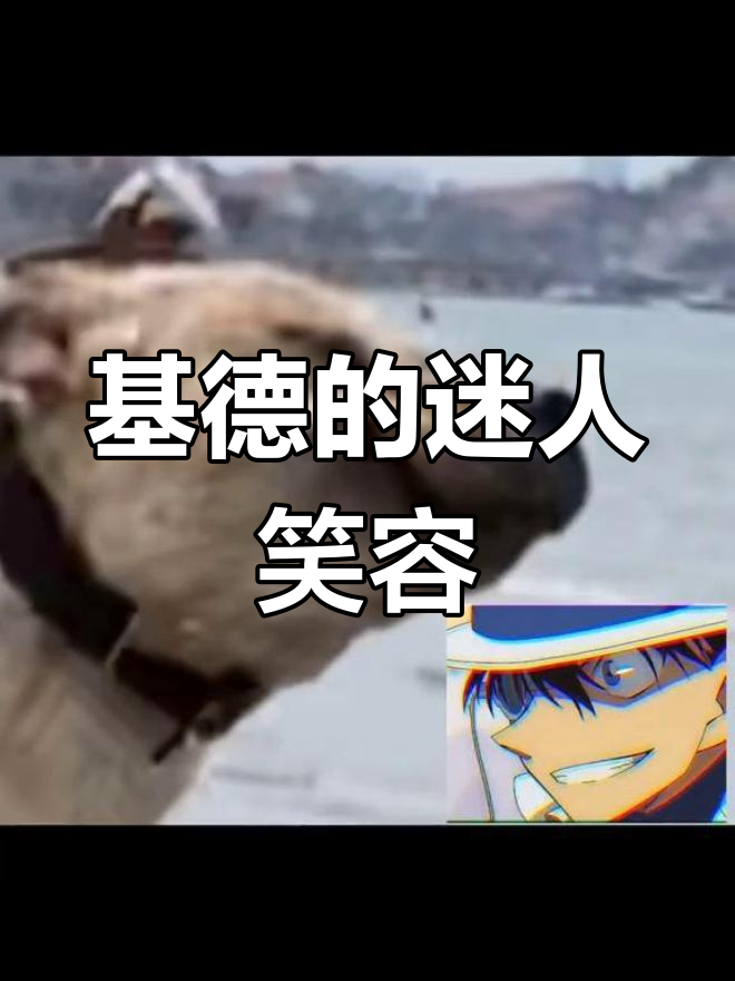 大鹅表情包变基德邪笑