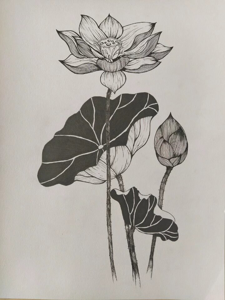 清廉——黑白装饰画