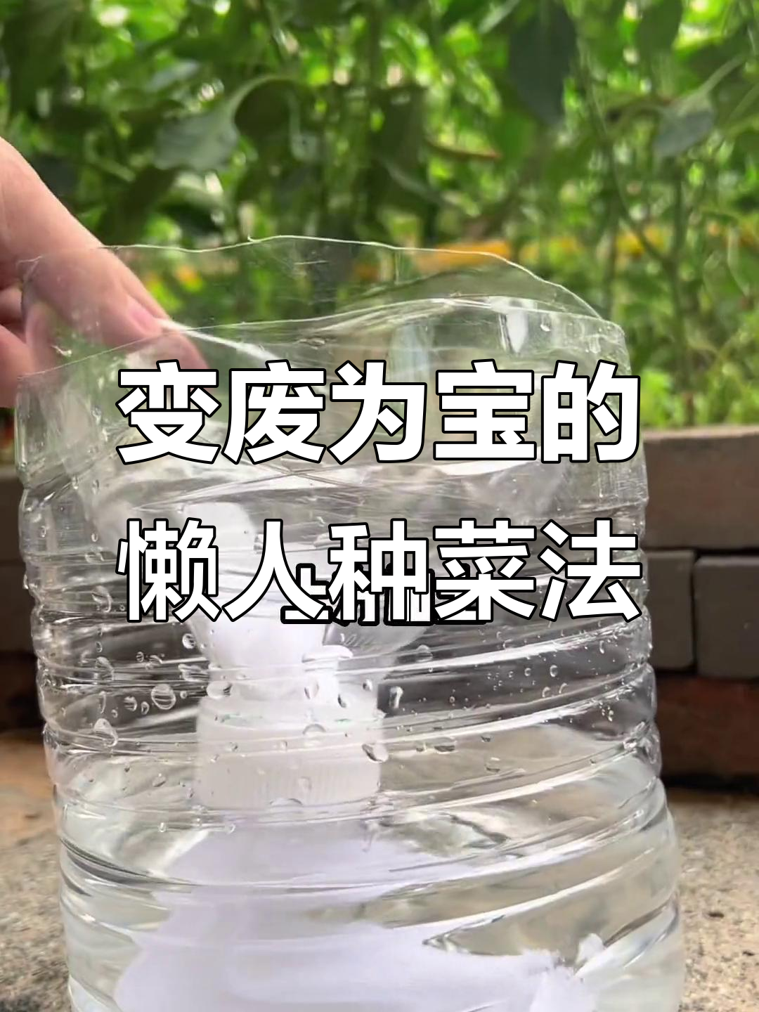 废水桶变宝,懒人种菜神器,自动浇水超省力