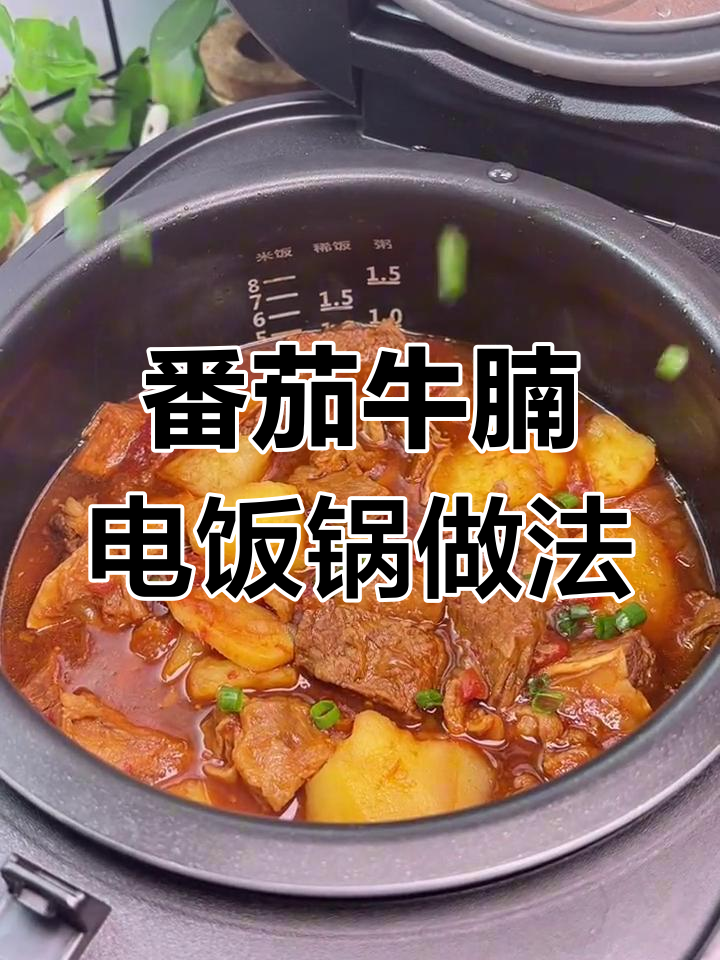 电饭煲番茄炖牛腩,土豆软糯牛肉超嫩