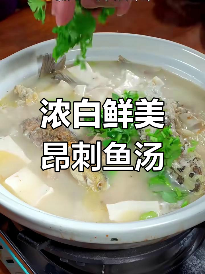 昂刺鱼豆腐汤,去腥增香小技巧大公开