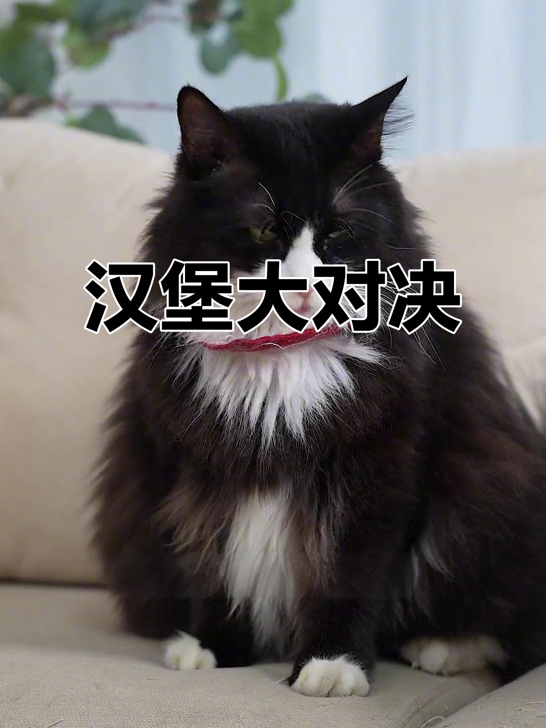 迷你口蘑与透明汉堡,谁能挑战“汉堡王”的经典?