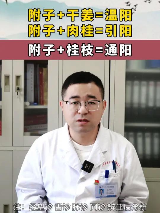 附子+干姜=温阳,附子+肉桂=引阳,附子+桂枝=通阳