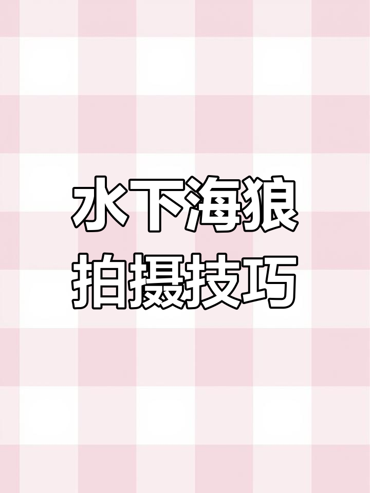 海狼群与鱼群共舞,水下拍摄技巧大揭秘