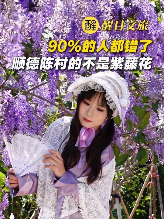 90%的人都错了,顺德陈村的不是紫藤花!(记者:覃颖华;制作:覃颖华;责编:梅雪妍)#蓝花